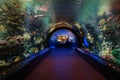 New York Aquarium 45