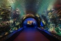 New York Aquarium 43