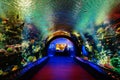 New York Aquarium 41