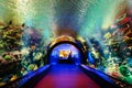 New York Aquarium 42