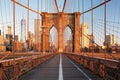 New York, Brooklyn bridge, United Statef of America Royalty Free Stock Photo