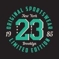 New York, Brooklyn - graphic design for t-shirt, sport apparel. Typography for clothes. Original sportswear, limited edition print Royalty Free Stock Photo