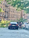 New york brooklyn after storm falling tree car