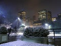 New York - Central Park Skate Rink In Christmas Snow