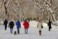 New York Central Park after snow Royalty Free Stock Photo