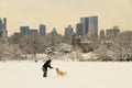 New York Central Park after snow Royalty Free Stock Photo