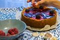 New York cheese cake with softfruits Royalty Free Stock Photo