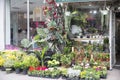 New York City - April 18 2021: Small local flower store with many plants and flowers creating outside display