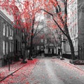 Red fall trees in black and white cityscape on Commerce Street in New York City