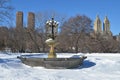 New York City Central Park alley in winter. New York. Royalty Free Stock Photo