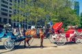 New York City Central Park, Manhattan. Horses and Carriages. Beautiful Sunny Day, Famous Touristic Destination, International Land Royalty Free Stock Photo