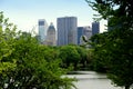 New York City: Central Park and Midtown Skyline Royalty Free Stock Photo