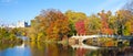 New York City - Central Park Panoramic Landscape Royalty Free Stock Photo