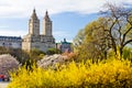 New York City - Central Park Spring Landscape Royalty Free Stock Photo