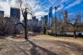 New York city Central Park in winter near ice skaters ring Royalty Free Stock Photo