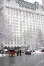 New York City Central Park in winter