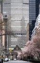 New York City empty streets with tall buildings and skyscrapers in Manhattan. Royalty Free Stock Photo