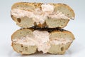 New York City Everything Bagel Cut in Half and Filled with Lox Spread Cream Cheese on a White Plate Royalty Free Stock Photo