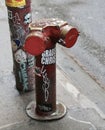 New York City fire hydrants.