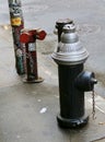 New York City fire hydrants.