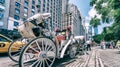 NEW YORK CITY - JUNE 2013: Horse carriage awaits customers on 59st. It is a very popular attraction between tourists Royalty Free Stock Photo