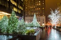 New York City Manhattan Street Trees and Plants Decorated with Bright Lights During Christmas Holidays.