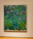 New York City MOMA - Claude Monet - Agapanthus