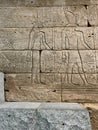 Wall of The Temple of Dendur in Metropolitan Museum of Art. Egypt Temple. Royalty Free Stock Photo