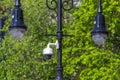 New York City, NY, USA - May 17, 2019: NYPD security surveillance camera an a street in USA