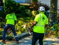 New York City Parks crew works to remove a fallen tree and clears street the aftermath of severe weather after storm Isaias Royalty Free Stock Photo