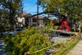 New York City Parks crew works to remove a fallen tree and clears street the aftermath of severe weather after storm Isaias Royalty Free Stock Photo