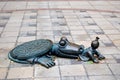 New York City Sewer Alligator Royalty Free Stock Photo