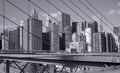 New York City skyscrapers seen through the wires of the Brooklyn Bridge. Royalty Free Stock Photo