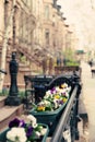 New York city Spring Royalty Free Stock Photo