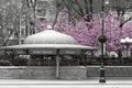 New York City subway station entrance in Union Square Park in black and white with pink blossoms