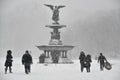 1/23/16, New York City: Tourists and locals venture into Central Park during Winter Storm Jonas Royalty Free Stock Photo