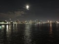 New York City Under The Moonlight Royalty Free Stock Photo