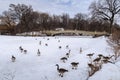 New York City, New York, United States - February 14, 2021: Central Park and Bow bridge in the winter with frozen lake and ducks Royalty Free Stock Photo