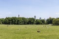 New York City, USA - June 12, 2017: People sunbathing in central park, New York Royalty Free Stock Photo