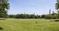 New York City, USA - June 12, 2017: People sunbathing in central park, New York Royalty Free Stock Photo