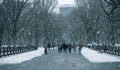 New York City, USA - March 18, 2017: People stroll and joggers run on the Mall in Central Park. Central Park is the most visited Royalty Free Stock Photo