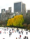 NEW YORK - DECEMBER 3: Ice skaters having fun in Central Park Royalty Free Stock Photo