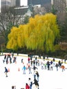 NEW YORK - DECEMBER 3: Ice skaters having fun in Central Park Royalty Free Stock Photo