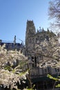 New York. Early summer blossom in flower.