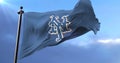 New York Mets flag, american professional baseball team, waving - loop