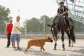 New York Mounted Police Royalty Free Stock Photo