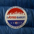 Voted Early in the City of New York sticker