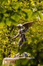 Angel of water statue fountain in Central Park (NYC). Royalty Free Stock Photo