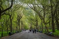 New York, NY / USA - April 24 2020: View of the Central Park& x27;s Mall and Literary Walk with people passing by and relaxing