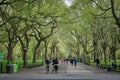 New York, NY / USA - April 24 2020: View of the Central Park`s Mall and Literary Walk with people passing by and relaxing